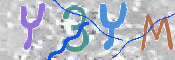 Image Anti-spam